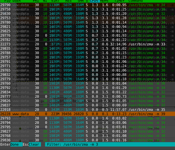 htop2.png